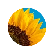 Киевстар Made in Ukraine