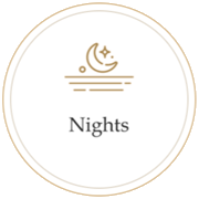 Монте Карло Nights