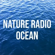 NATURE OCEAN