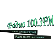 100.3 FM